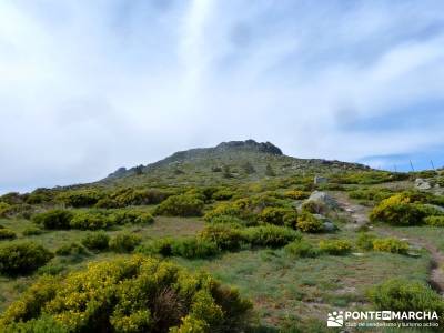 Senderismo Cuerda Larga; grupos pequeños; escapadas fin de semana;senderismo madrid sierra norte